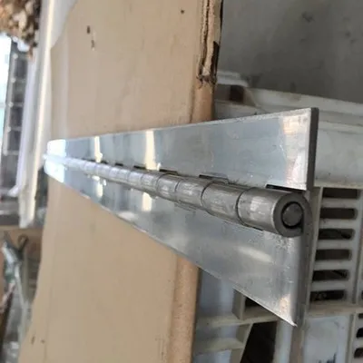 Outdoor Continuous Hinge best