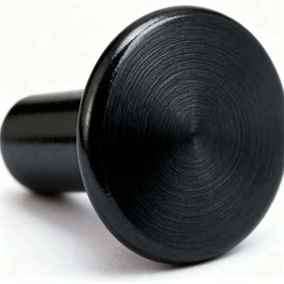 Black Stainless Steel Rivets